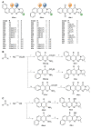 Scheme 10