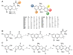 Scheme 12