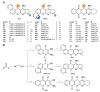 Scheme 3