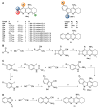 Scheme 5