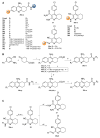 Scheme 9