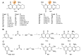 Scheme 2