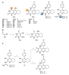 Scheme 8