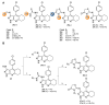 Scheme 7