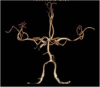 Fig. 2a