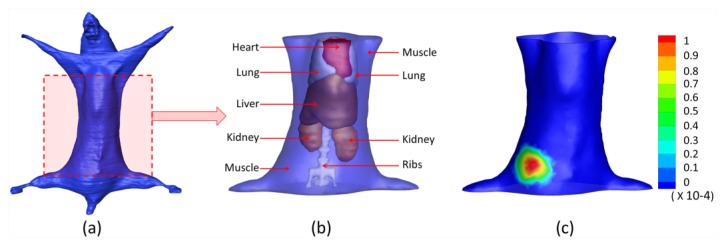 Fig. 10