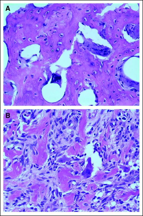 Fig 5.