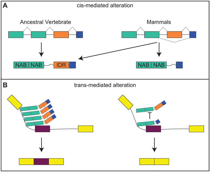 Figure 3: