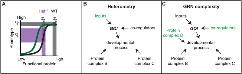 Figure 4: