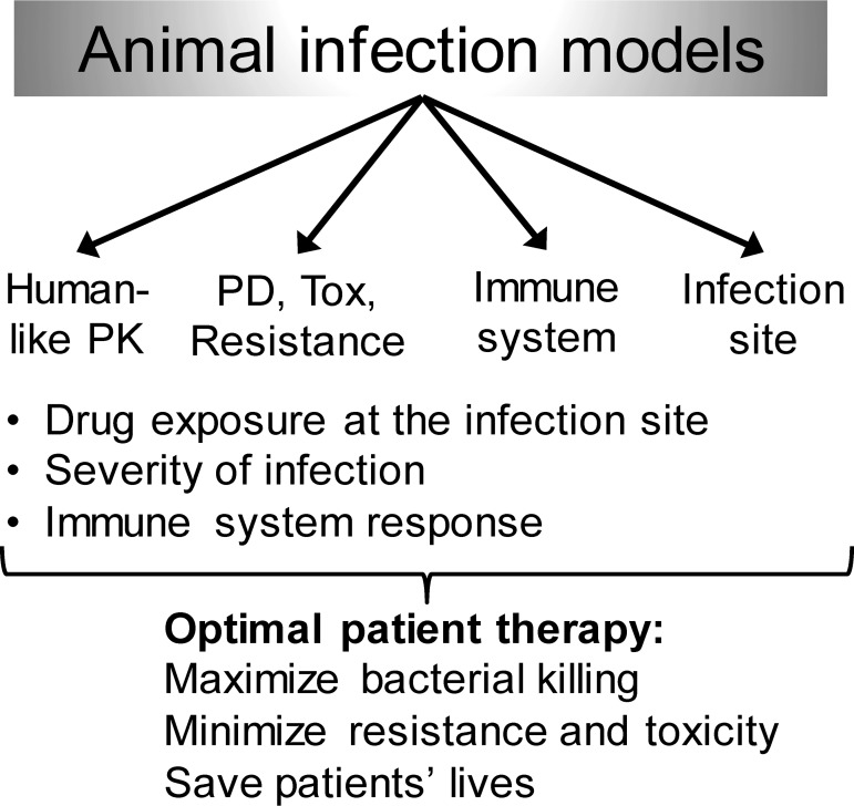 FIG 3