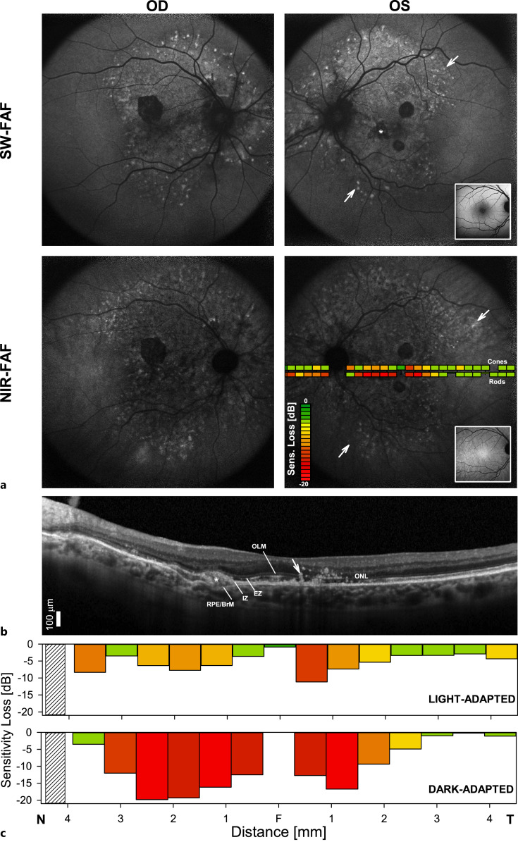 Fig. 3.