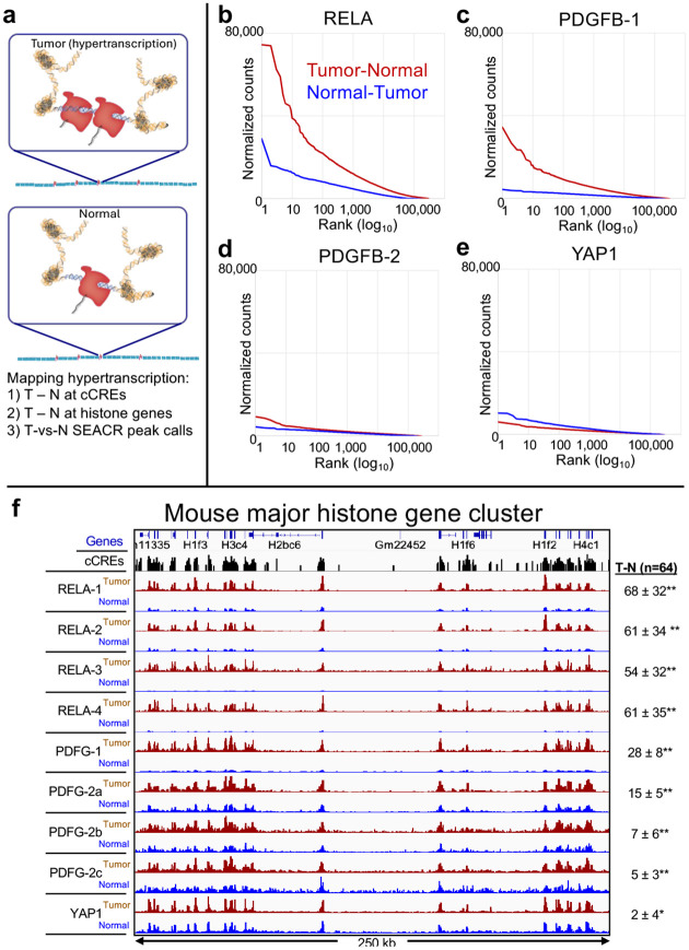 Figure 2 |