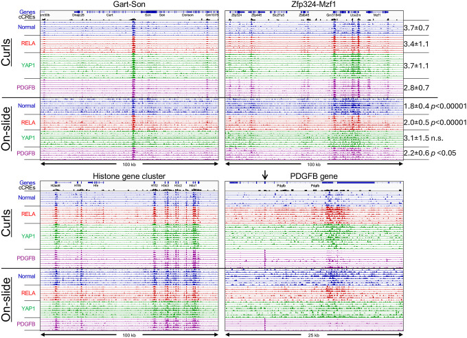 Figure 4 |