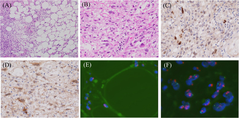 Figure 3