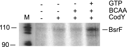 FIG. 7.