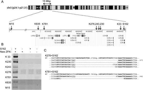 Figure 3.