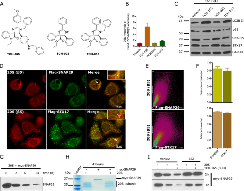 Figure 6: