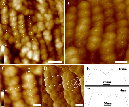 FIGURE 6.