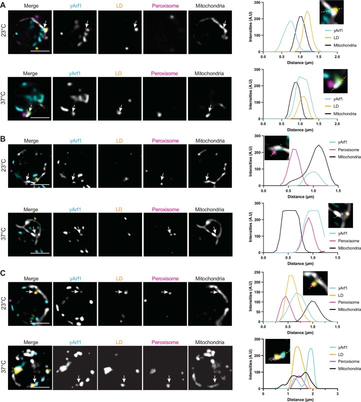 Extended Data Fig. 9