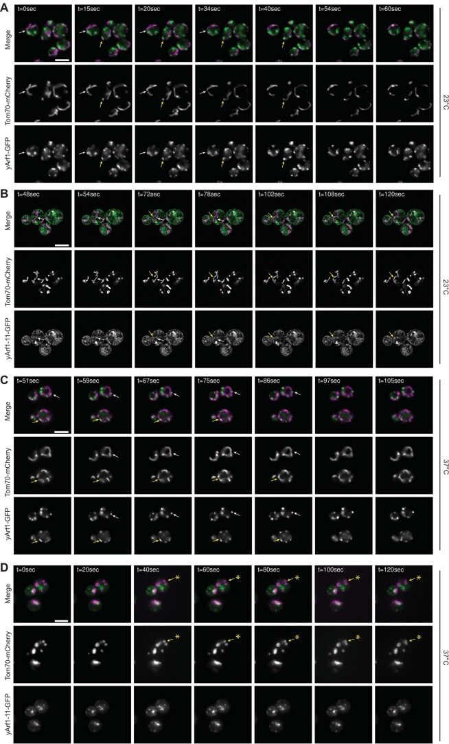 Extended Data Fig. 1