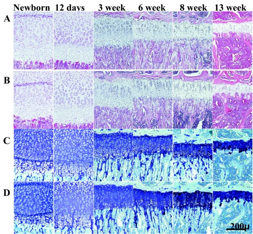 FIG. 8.