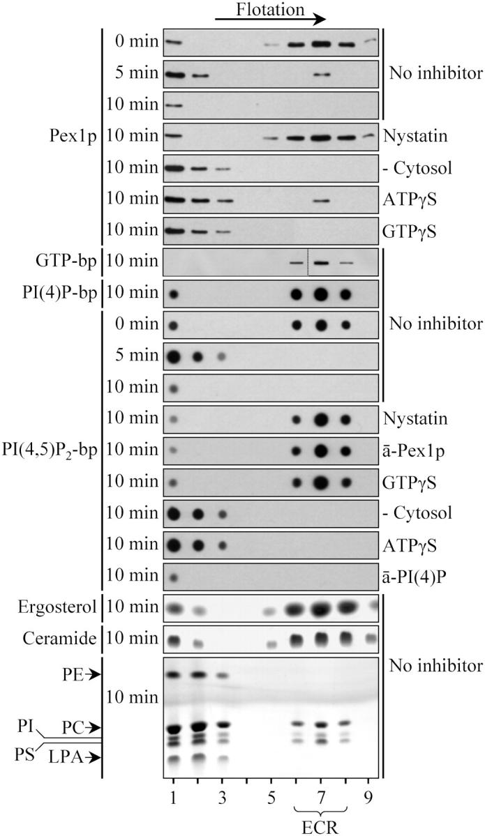 Figure 7.