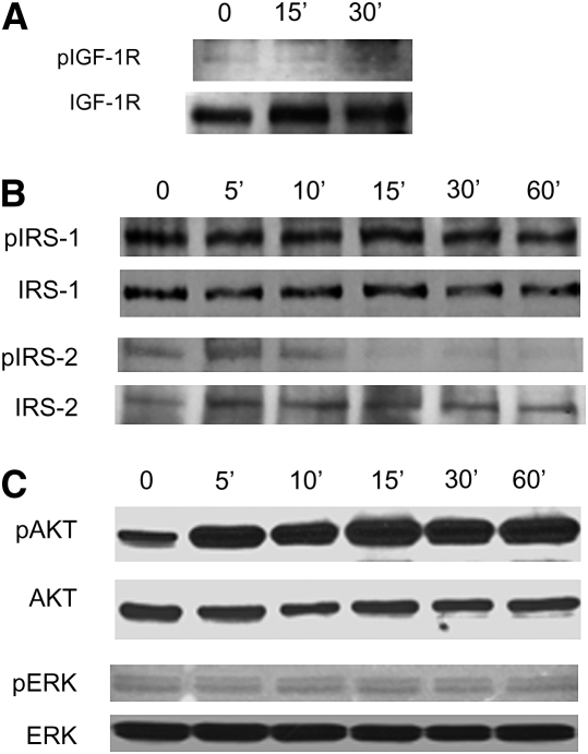 Figure 10.