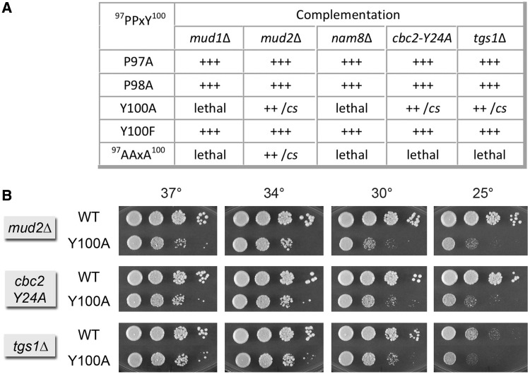 Figure 6.