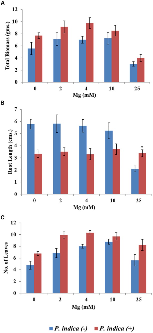 FIGURE 2