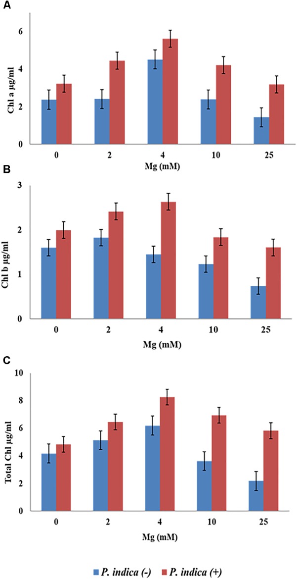 FIGURE 3