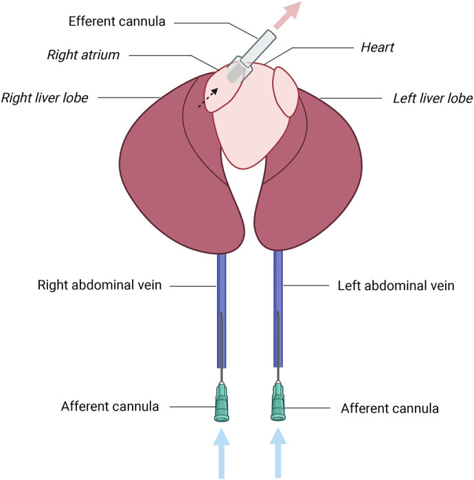 Fig. 3.