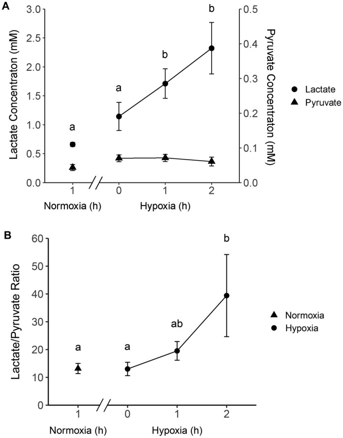 Fig. 8.