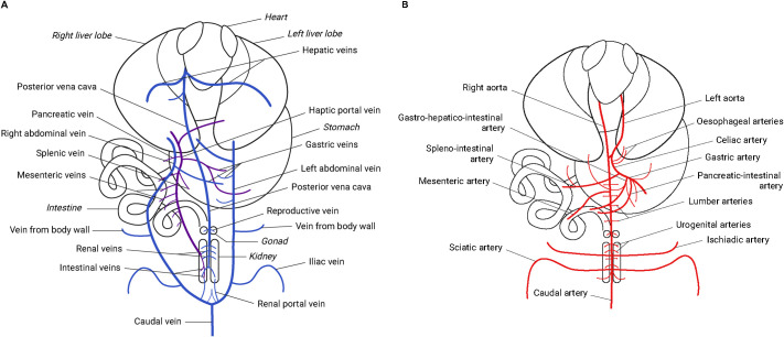 Fig. 2.