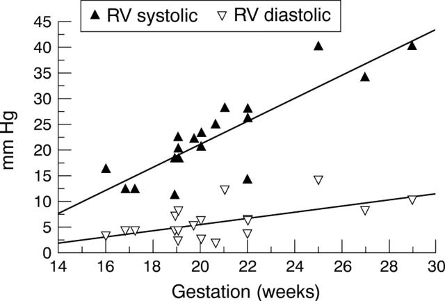 Figure 3  