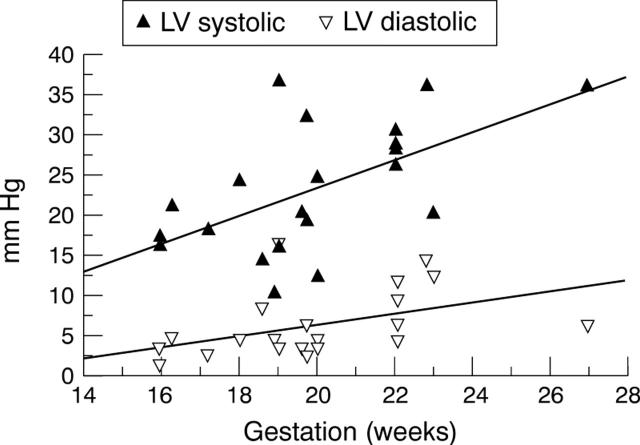 Figure 2  