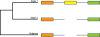 Fig. 1.