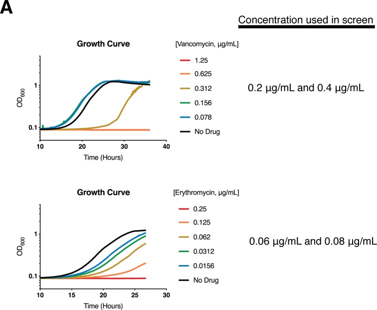 Figure 1—figure supplement 1.