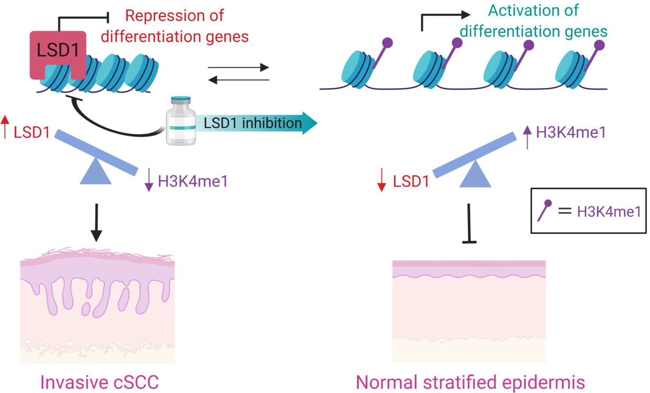 Figure 3: