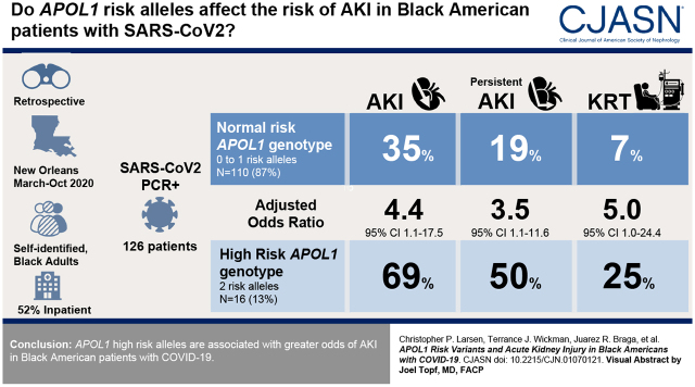 graphic file with name CJN.01070121absf1.jpg