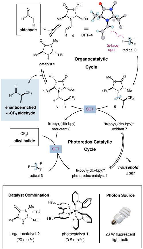 Scheme 1