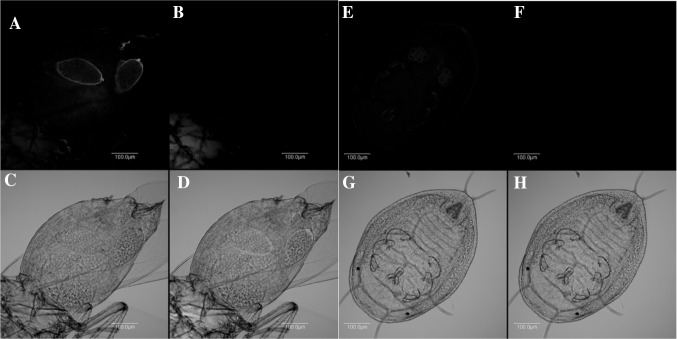 Fig. 6