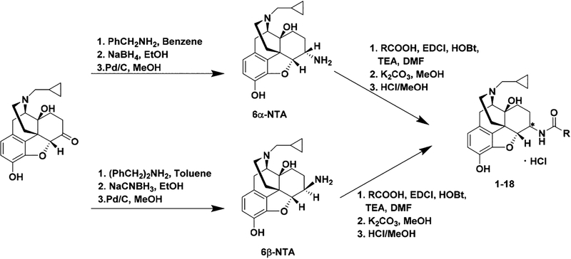 Scheme 1.