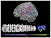 Fig. 17.3.