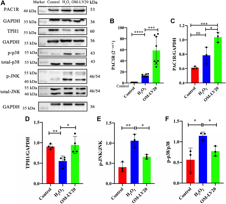 Figure 4