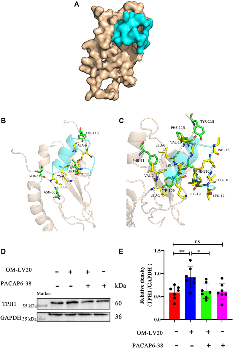 Figure 6