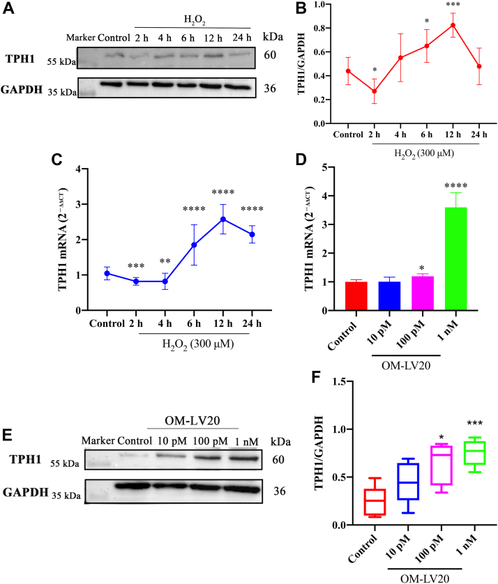 Figure 2