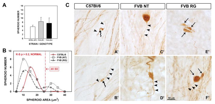 FIGURE 3