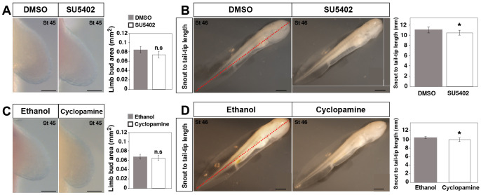 Figure 5—figure supplement 1.