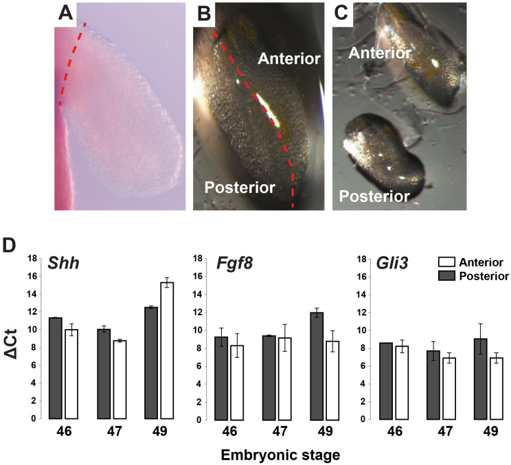 Figure 2—figure supplement 3.