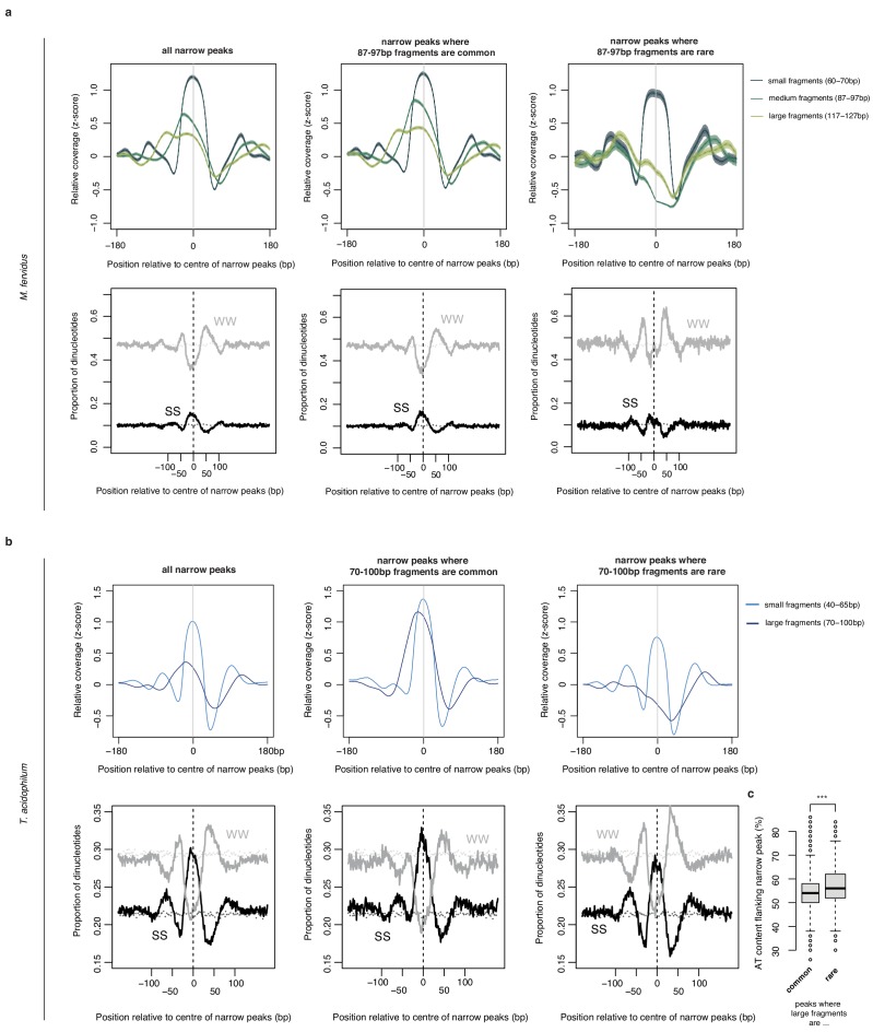 Figure 4—figure supplement 2.